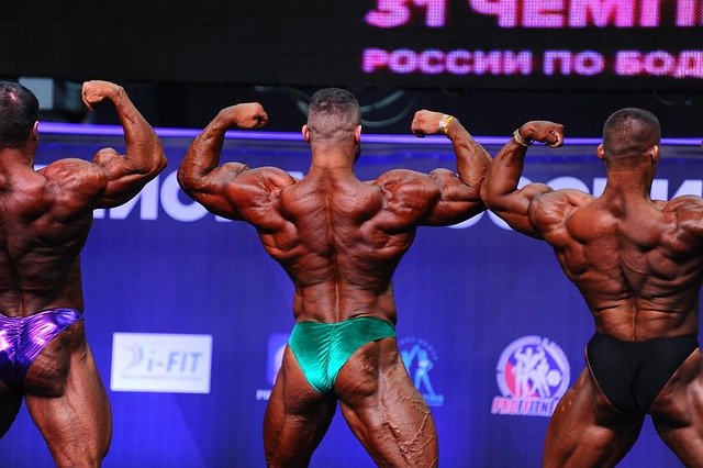 与最终冠军 与最终冠军