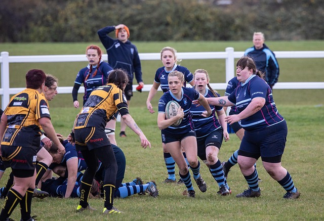 的整体效益 的整体效益